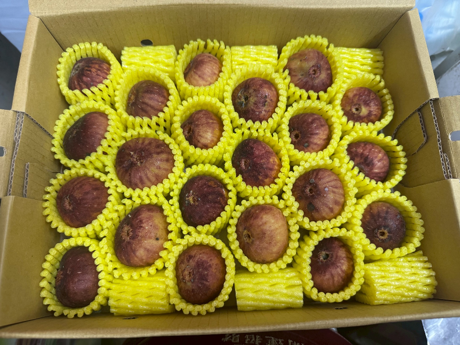 無花果