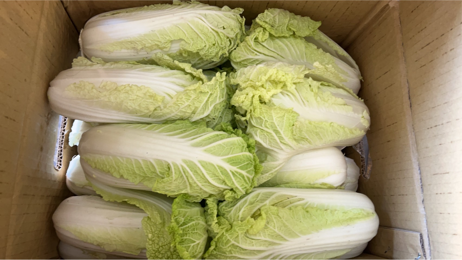 高山娃娃菜（120元/斤，須當日清晨秤斤計價）