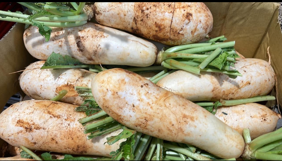 /assets/uploads/620x620/product_picture_20260520004943616395.png