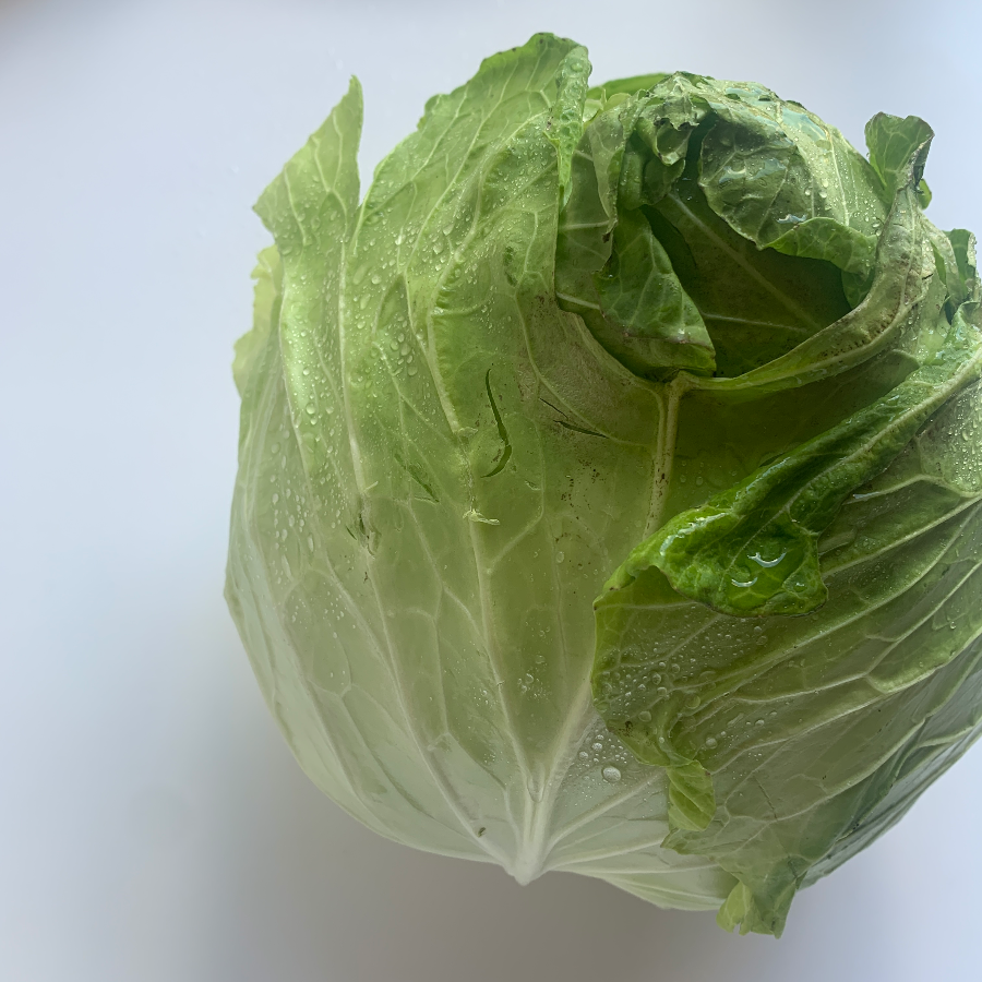 翠峰（或梨山）尖頭初秋高麗菜(1500~1800g)