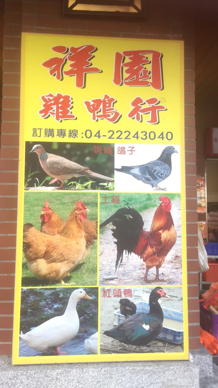 祥園專售雞種