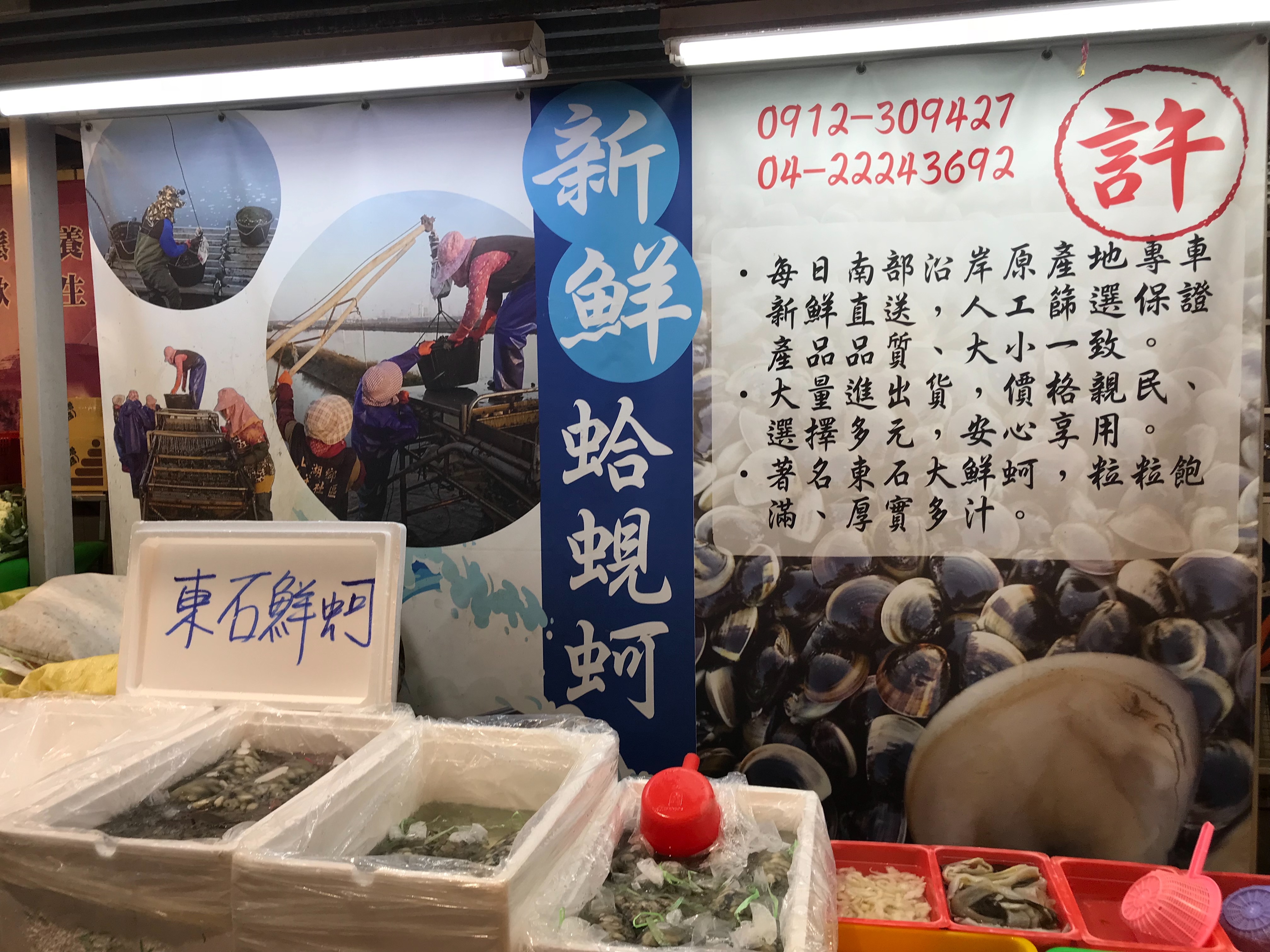 許 蛤、蜆、鮮蚵水產批發零售
