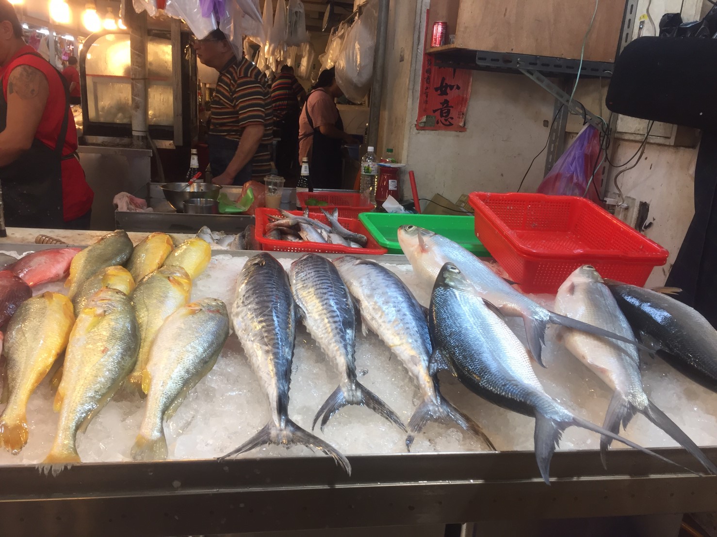 各式新鮮海魚(黃魚)